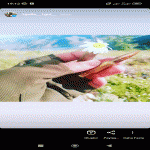 1gulle_1gul@
